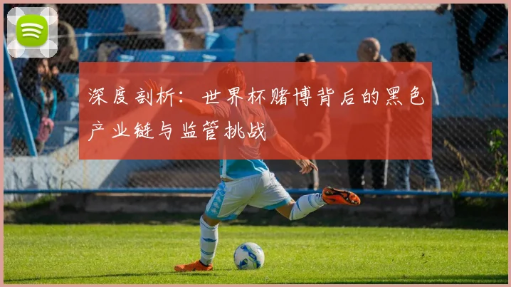 深度剖析：世界杯赌博背后的黑色产业链与监管挑战