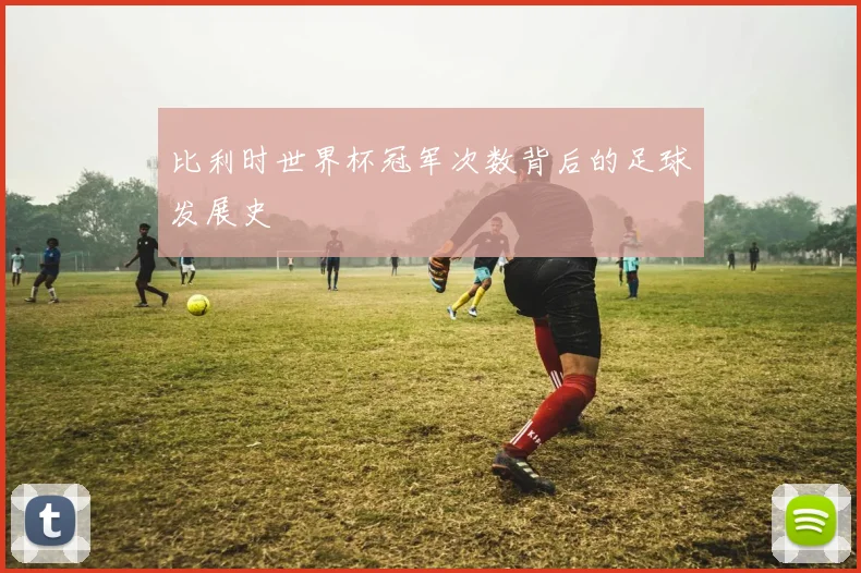 比利时世界杯冠军次数背后的足球发展史