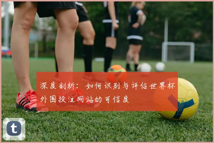 深度剖析：如何识别与评估世界杯外围投注网站的可信度