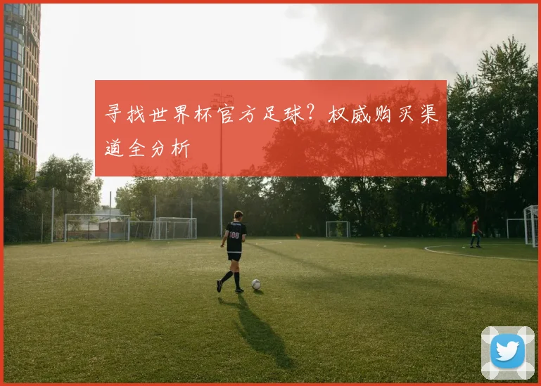 寻找世界杯官方足球？权威购买渠道全分析